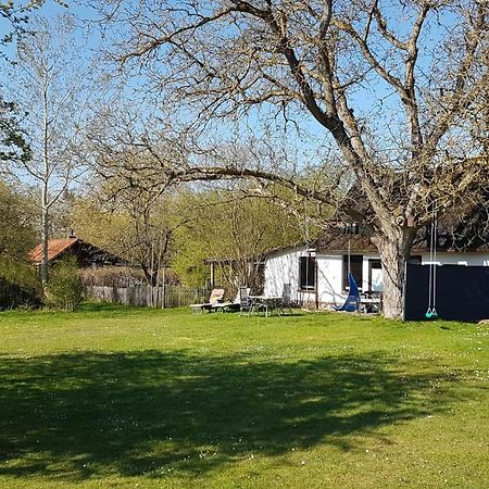 Ferienhaus Kunterbunt II Hitzacker Exterior foto